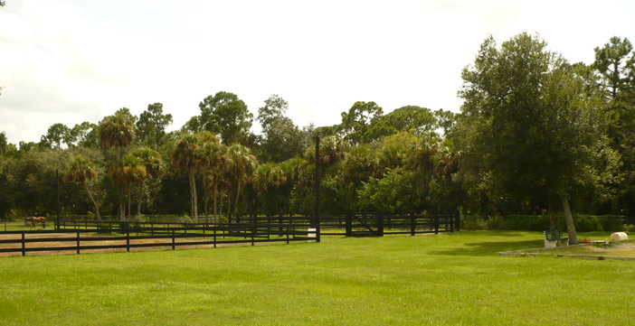 Round Pen area